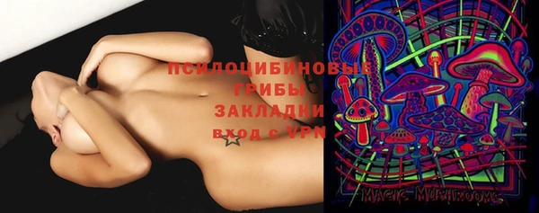 Альфа ПВП Навашино