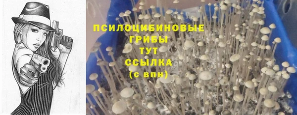 кристаллы Нея